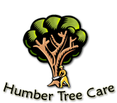 Humber Tree Care Logo